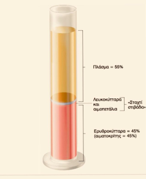 PRF – Platelet-rich fibrin